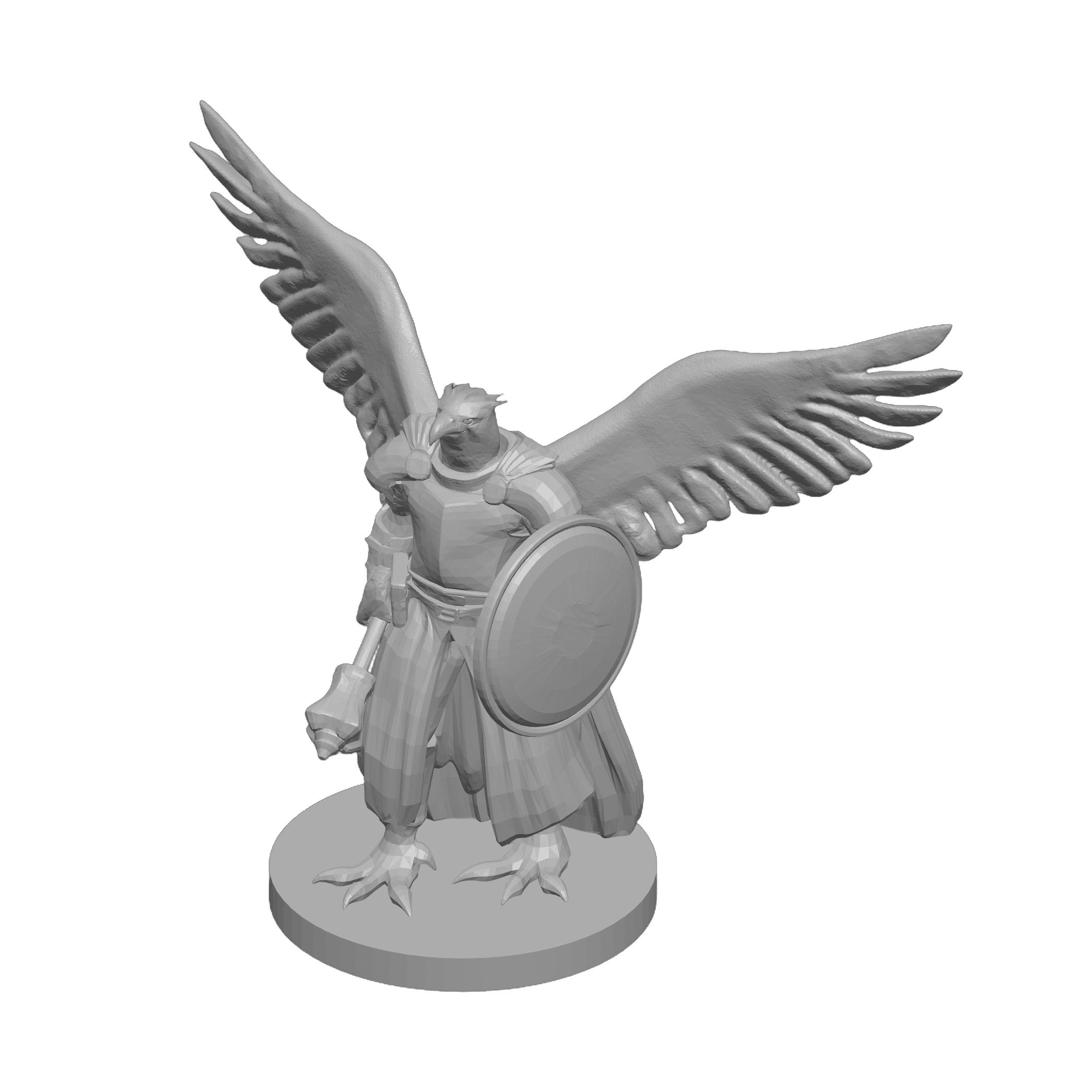 Aarakocra Cleric