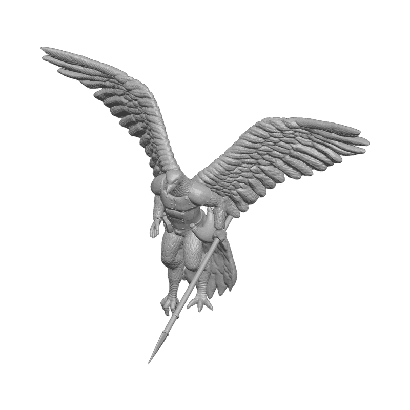 Aarakocra Updated